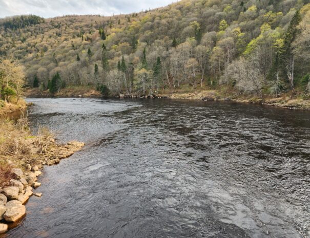 Hiking Tour Jacques-Cartier National Park with Alasi Québec.